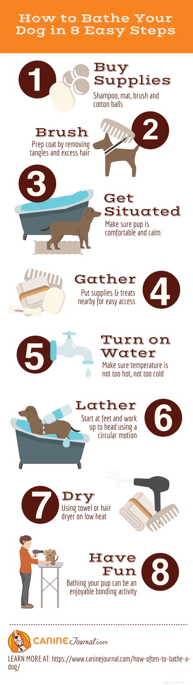 Home Dog Grooming Made Easy: Expert Tips for a Healthy, Happy Pet