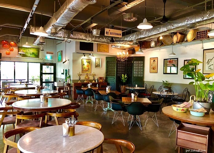Explore Singapore s Top 11 Dog Cafés – Ratings & Reviews Included