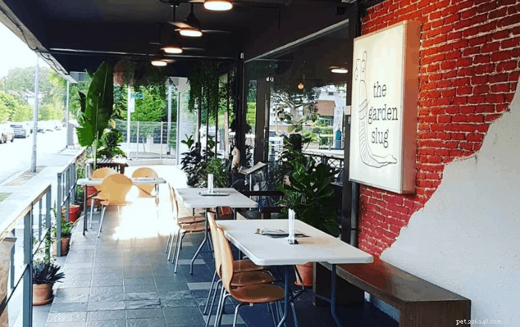 Explore Singapore s Top 11 Dog Cafés – Ratings & Reviews Included