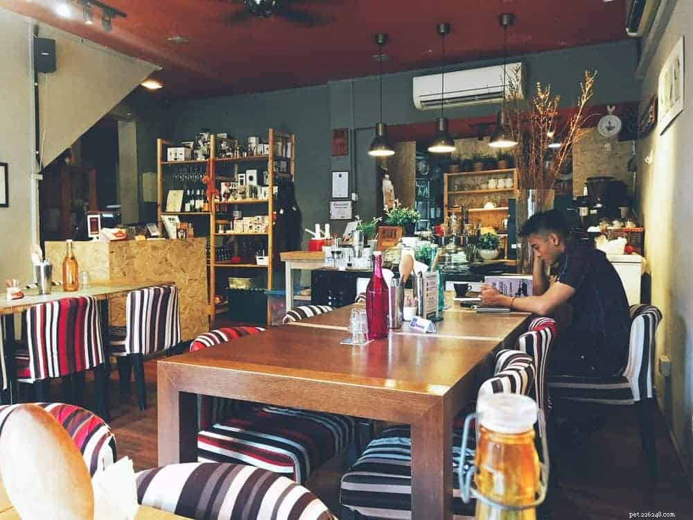 Explore Singapore s Top 11 Dog Cafés – Ratings & Reviews Included