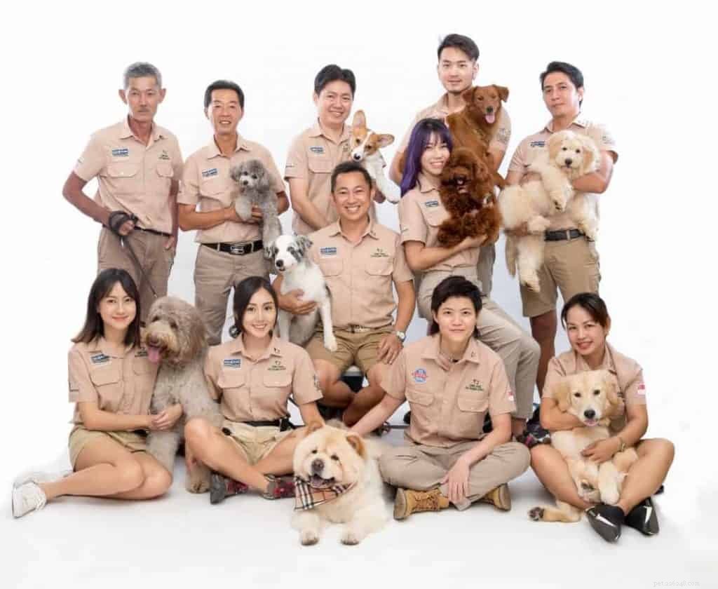 Top 4 Dog Training Schools in Singapore for Calm, Well-Behaved Pets
