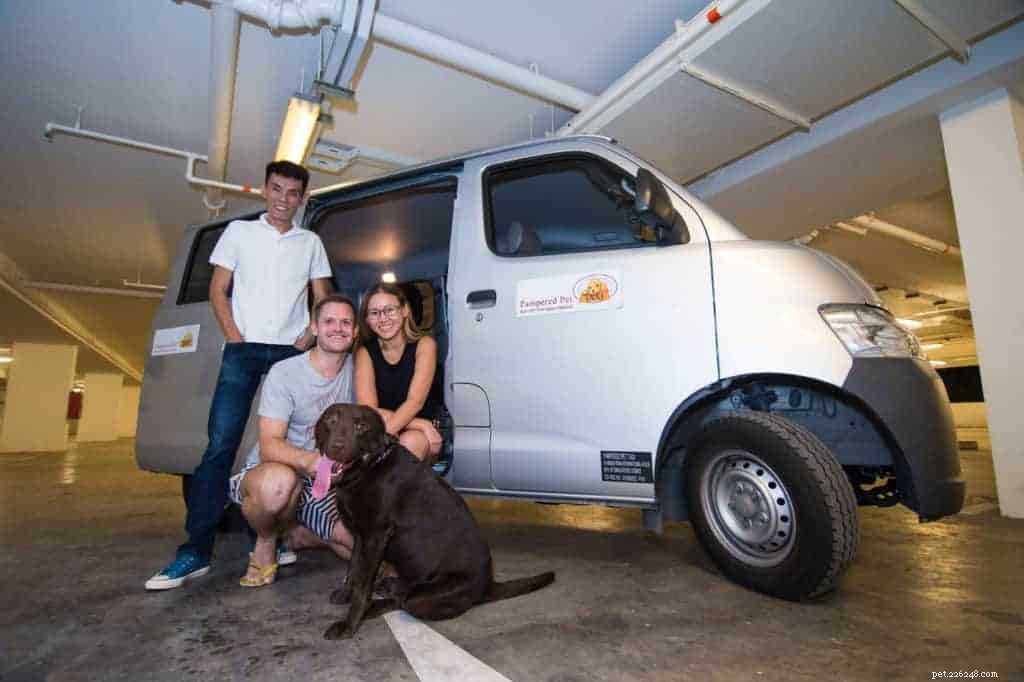 Top 8 Pet Taxi Services for Stress‑Free Travel