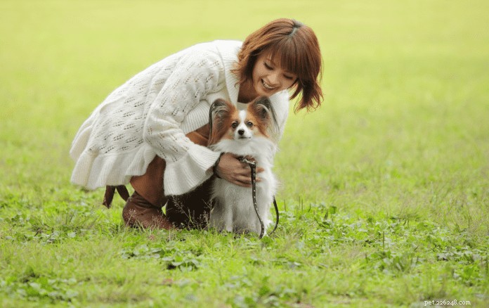 Top 9 Dog Adoption Centres in Singapore (2021) – Fees, Locations & How to Adopt