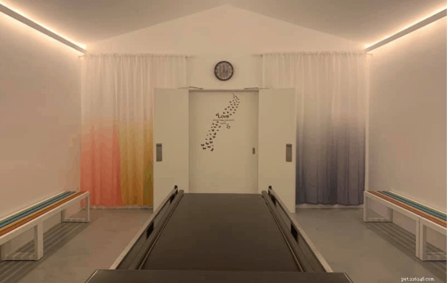 Top 7 Pet Cremation Services & Columbariums in Singapore – Compassionate Farewells