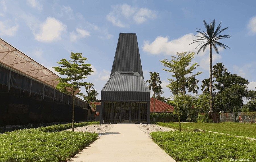 Top 7 Pet Cremation Services & Columbariums in Singapore – Compassionate Farewells