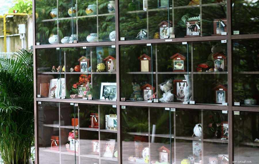 Top 7 Pet Cremation Services & Columbariums in Singapore – Compassionate Farewells