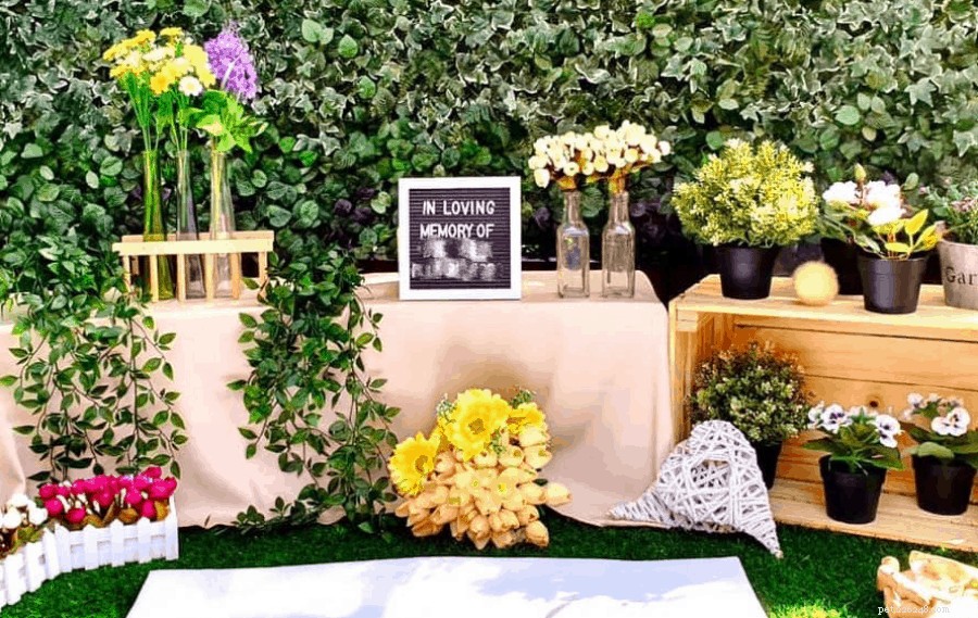 Top 7 Pet Cremation Services & Columbariums in Singapore – Compassionate Farewells
