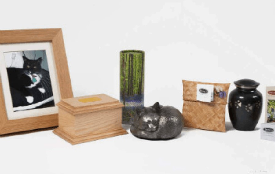 Top 7 Pet Cremation Services & Columbariums in Singapore – Compassionate Farewells