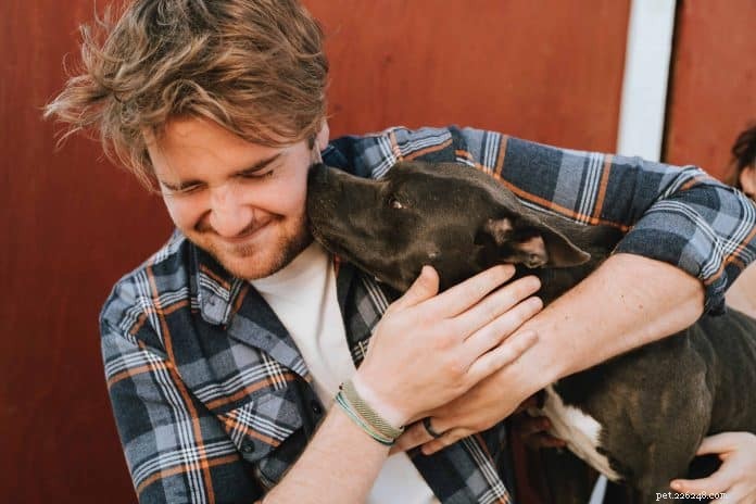 Stop Puppy Biting: Proven Tips from The Dog Whisperer & Top Training Experts