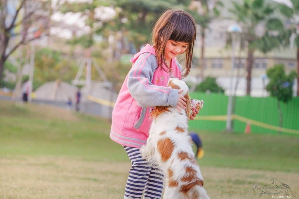 Stop Puppy Biting: Proven Tips from The Dog Whisperer & Top Training Experts