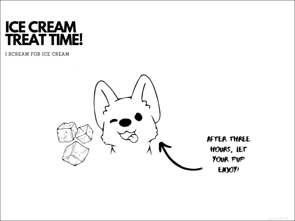 Top 10 Pet Expert‑Approved Homemade Dog Ice Cream Recipes & Ingredient Benefits