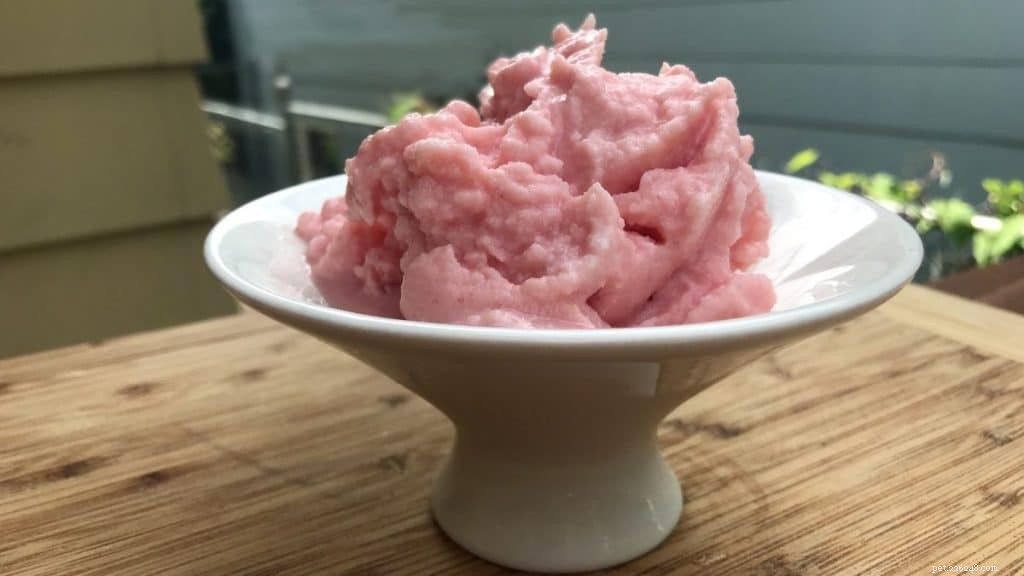 Top 10 Pet Expert‑Approved Homemade Dog Ice Cream Recipes & Ingredient Benefits