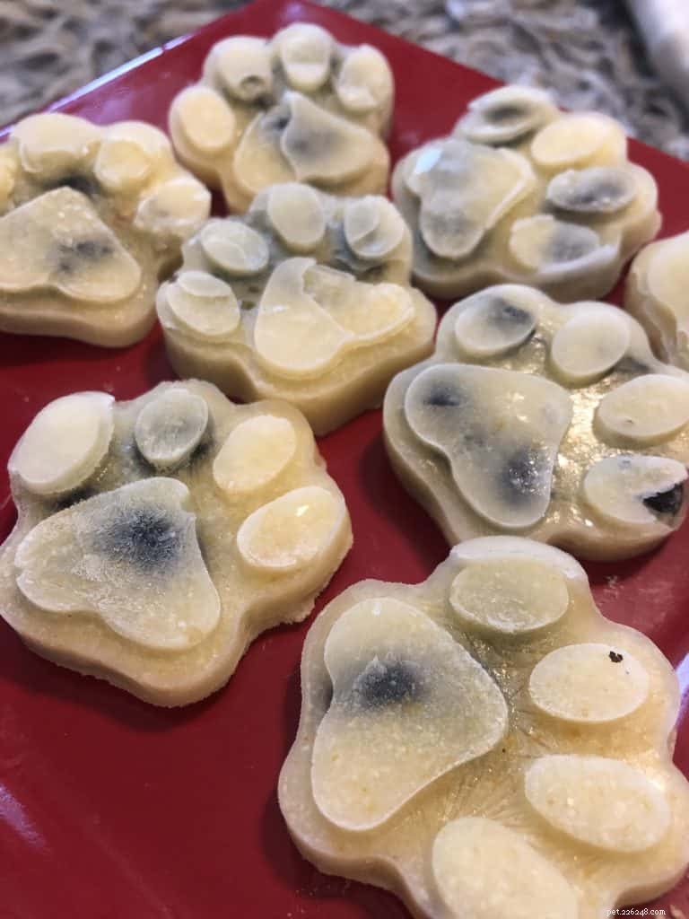 Top 10 Pet Expert‑Approved Homemade Dog Ice Cream Recipes & Ingredient Benefits