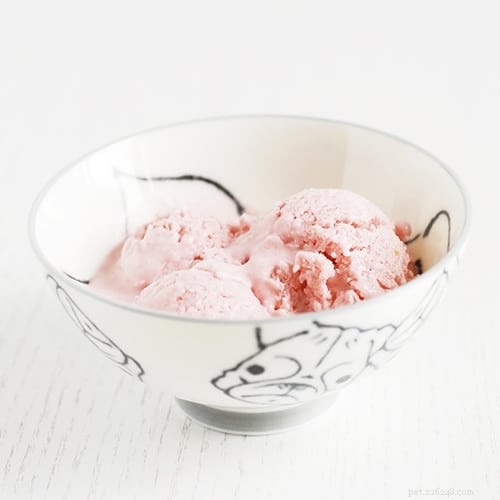 Top 10 Pet Expert‑Approved Homemade Dog Ice Cream Recipes & Ingredient Benefits