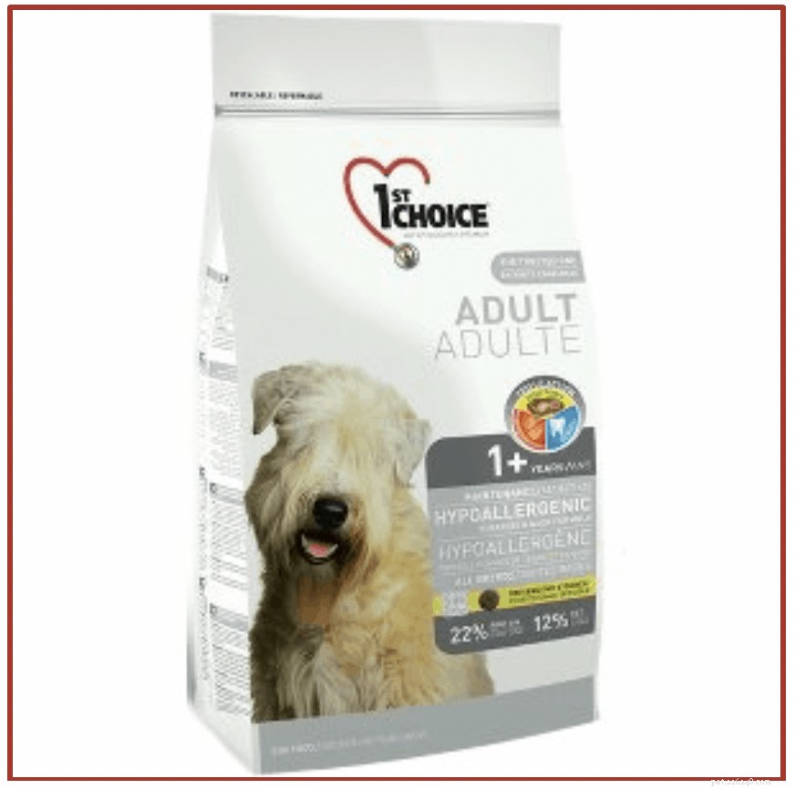 Vet‑Approved: 8 Best Dog Foods to Combat Allergies