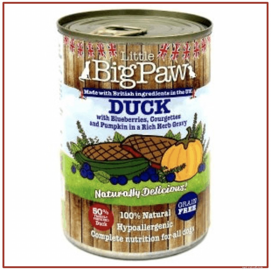 Vet‑Approved: 8 Best Dog Foods to Combat Allergies