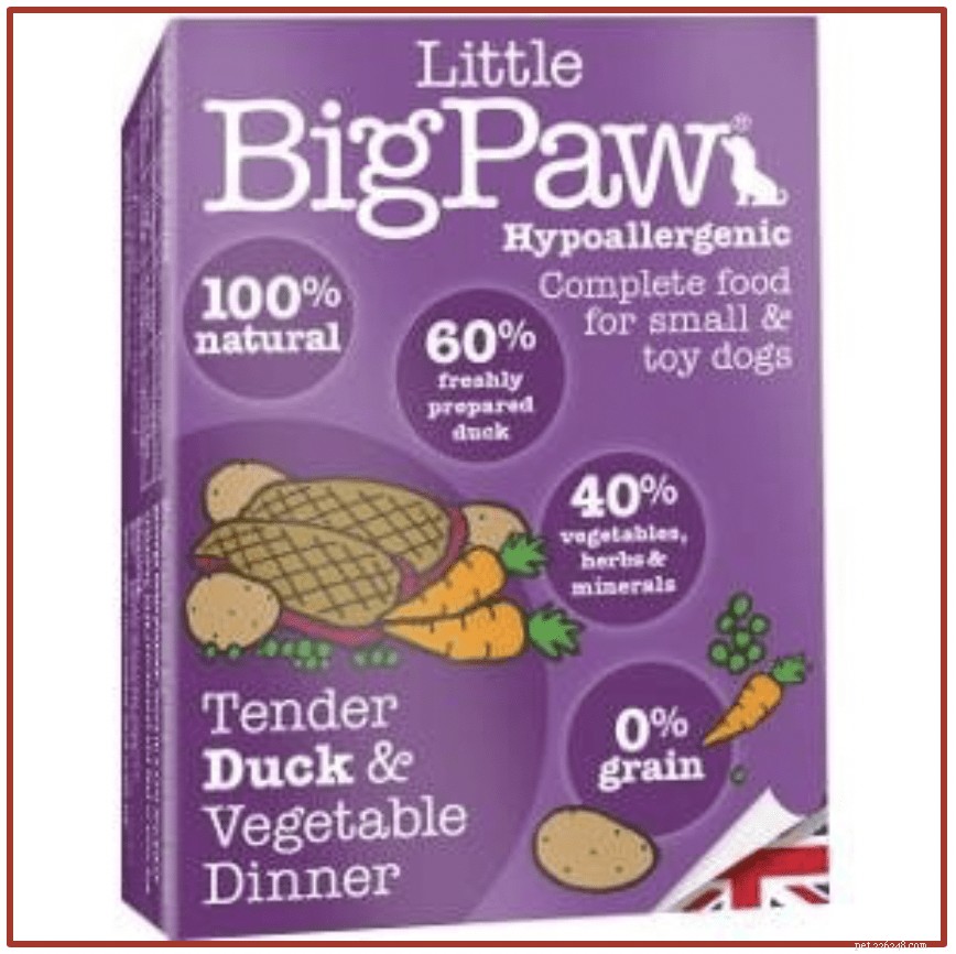 Vet‑Approved: 8 Best Dog Foods to Combat Allergies