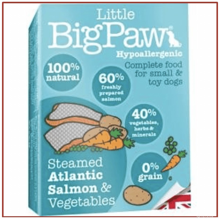 Vet‑Approved: 8 Best Dog Foods to Combat Allergies