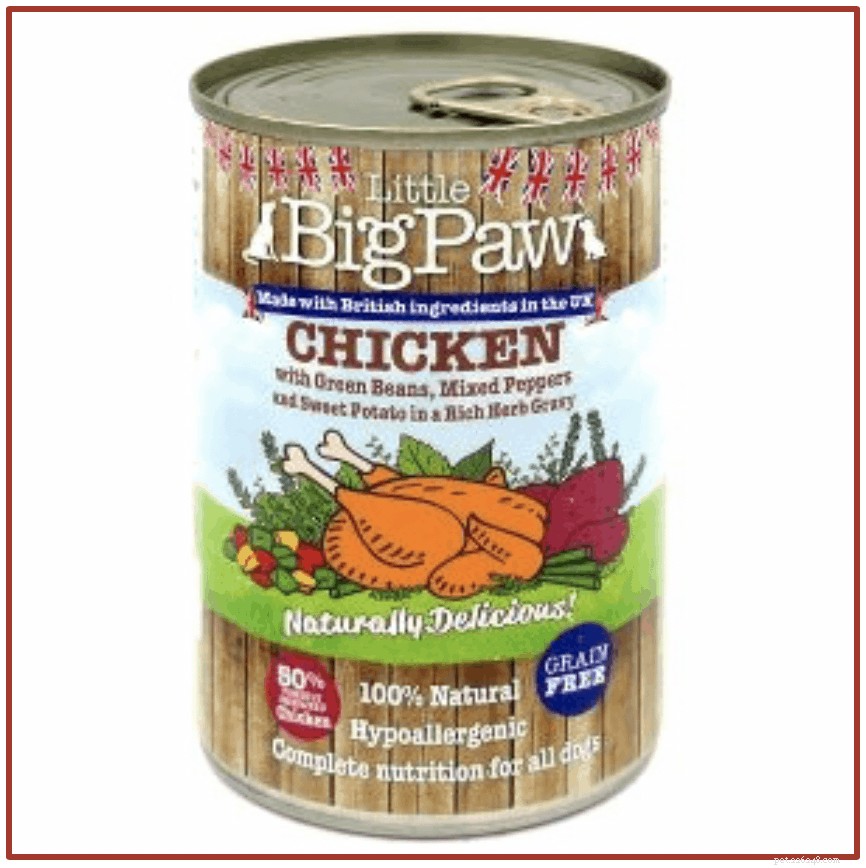 Vet‑Approved: 8 Best Dog Foods to Combat Allergies