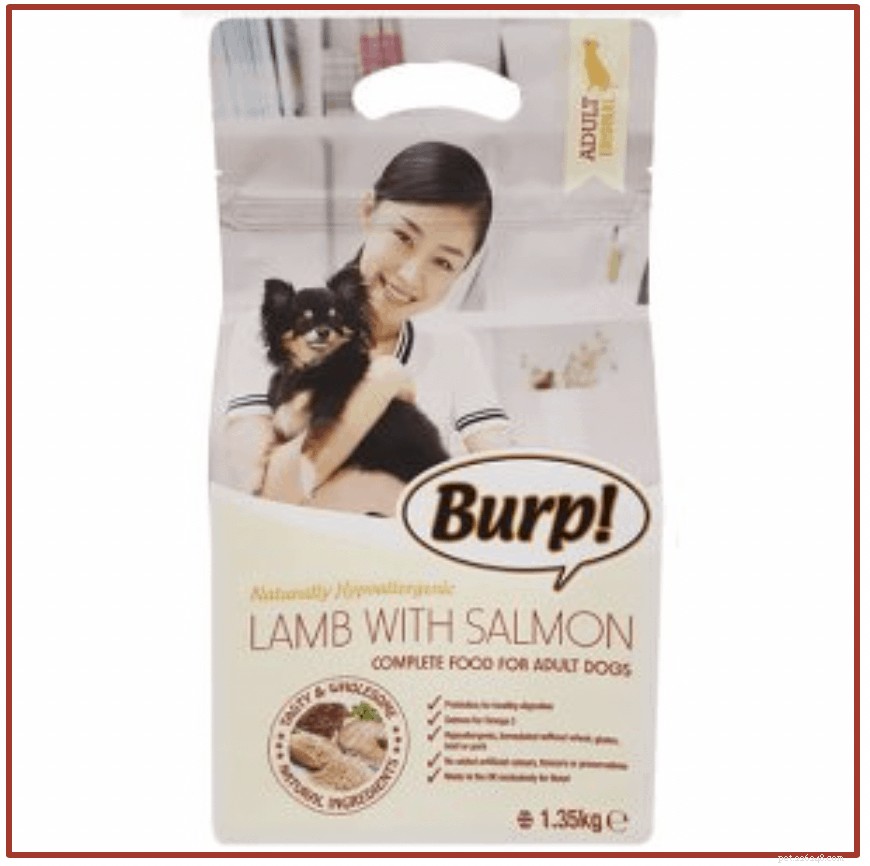 Vet‑Approved: 8 Best Dog Foods to Combat Allergies