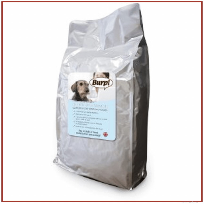 Vet‑Approved: 8 Best Dog Foods to Combat Allergies