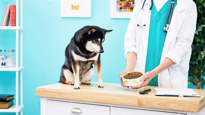 2020 Singapore Pet Insurance Guide: Compare Top Policies & Save