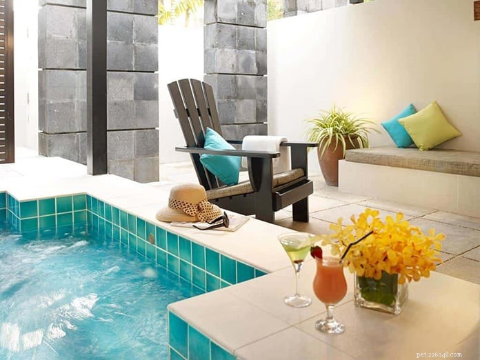 Top 13 Pet‑Friendly Hotels, Serviced Apartments & Chalets in Singapore for the Perfect Staycation