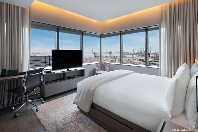 Top 13 Pet‑Friendly Hotels, Serviced Apartments & Chalets in Singapore for the Perfect Staycation