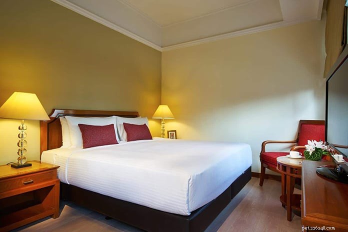 Top 13 Pet‑Friendly Hotels, Serviced Apartments & Chalets in Singapore for the Perfect Staycation