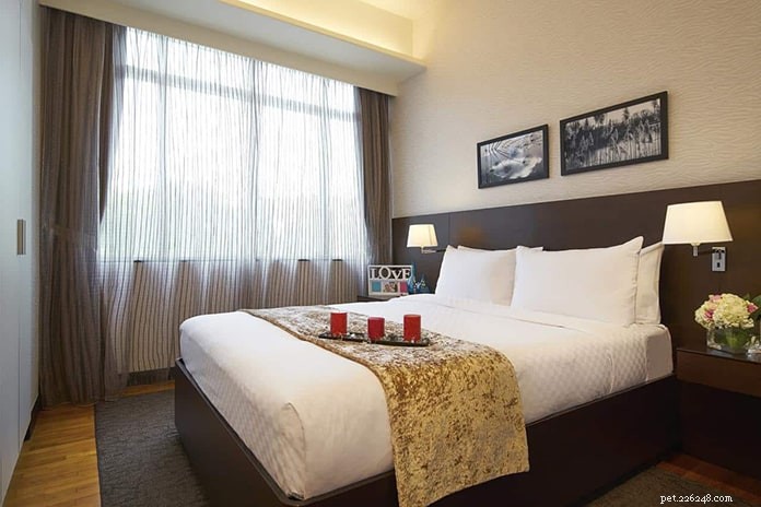 Top 13 Pet‑Friendly Hotels, Serviced Apartments & Chalets in Singapore for the Perfect Staycation
