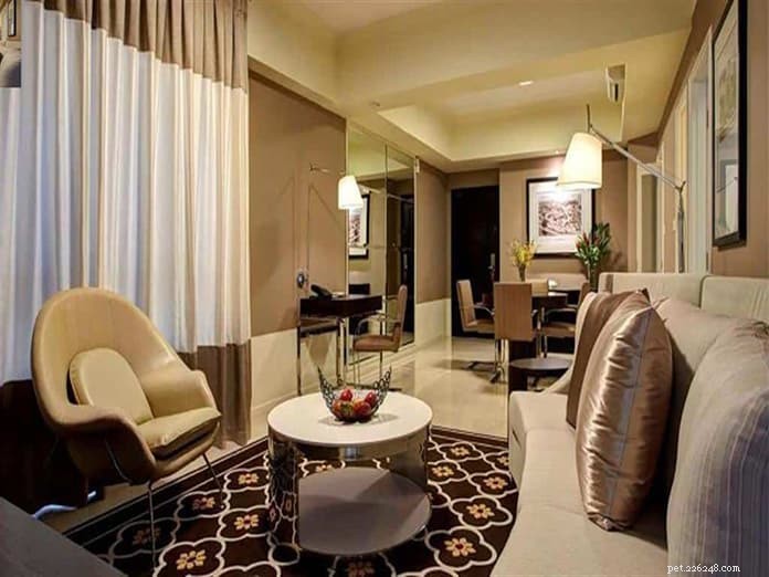 Top 13 Pet‑Friendly Hotels, Serviced Apartments & Chalets in Singapore for the Perfect Staycation