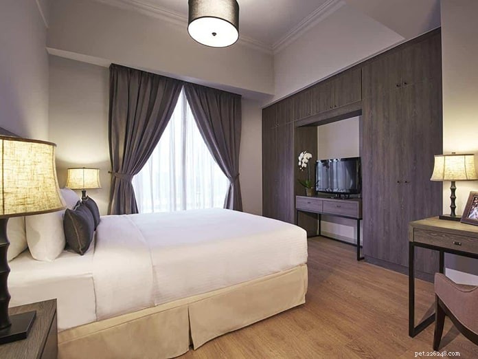 Top 13 Pet‑Friendly Hotels, Serviced Apartments & Chalets in Singapore for the Perfect Staycation