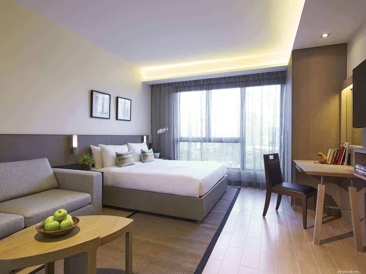 Top 13 Pet‑Friendly Hotels, Serviced Apartments & Chalets in Singapore for the Perfect Staycation