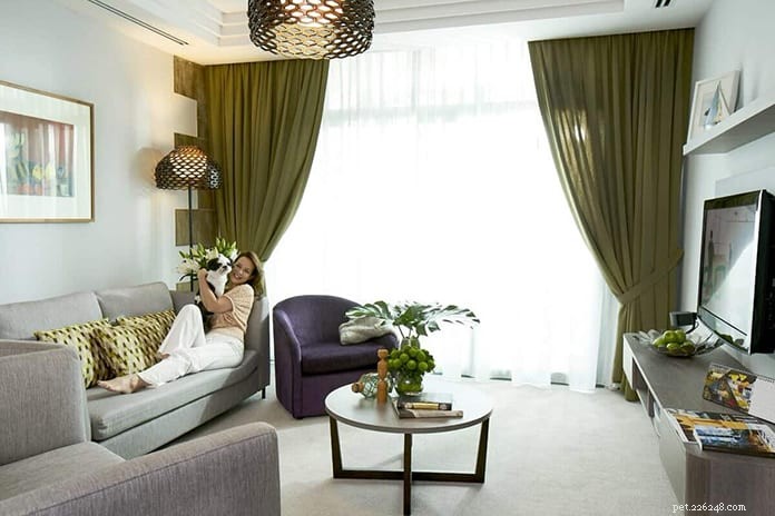 Top 13 Pet‑Friendly Hotels, Serviced Apartments & Chalets in Singapore for the Perfect Staycation