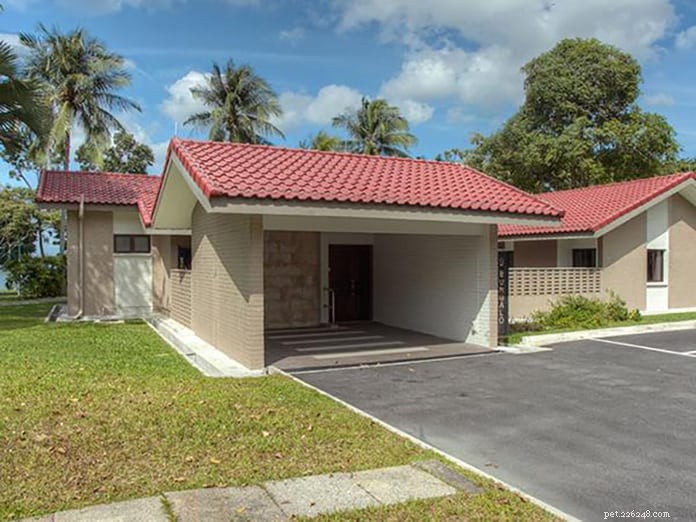 Top 13 Pet‑Friendly Hotels, Serviced Apartments & Chalets in Singapore for the Perfect Staycation