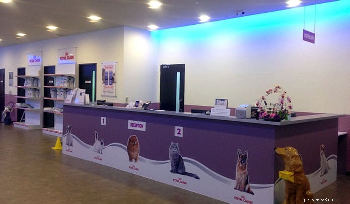Top 21 Veterinary Clinics in Singapore – 24/7, Emergency, and Home‑Visit Services