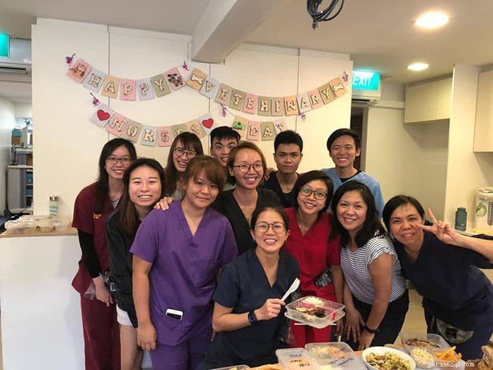 Top 21 Veterinary Clinics in Singapore – 24/7, Emergency, and Home‑Visit Services