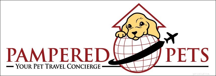 Top Pet Boarding Centres in Singapore – Trusted Care for Dogs & Cats (2020)