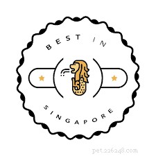 Top Pet Boarding Centres in Singapore – Trusted Care for Dogs & Cats (2020)