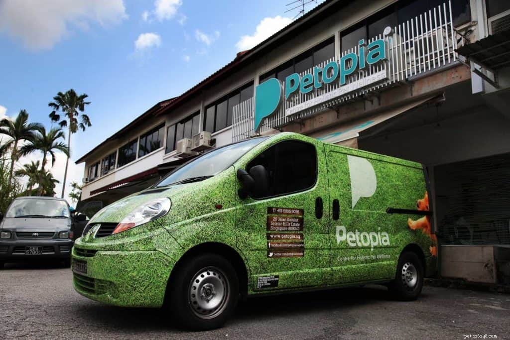 Top Pet Boarding Centres in Singapore – Trusted Care for Dogs & Cats (2020)