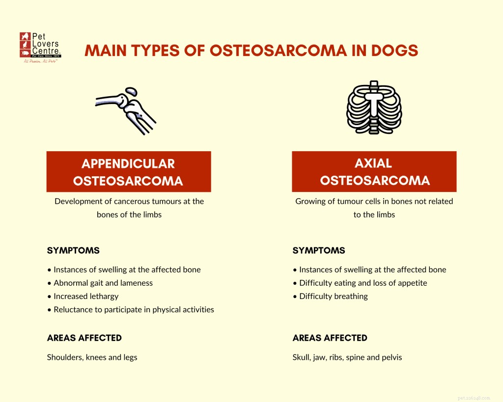Veterinary Guide to Canine Osteosarcoma: Causes, Symptoms, Diagnosis & Treatment