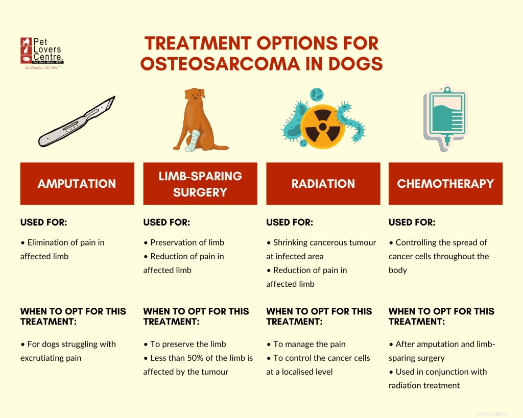 Veterinary Guide to Canine Osteosarcoma: Causes, Symptoms, Diagnosis & Treatment