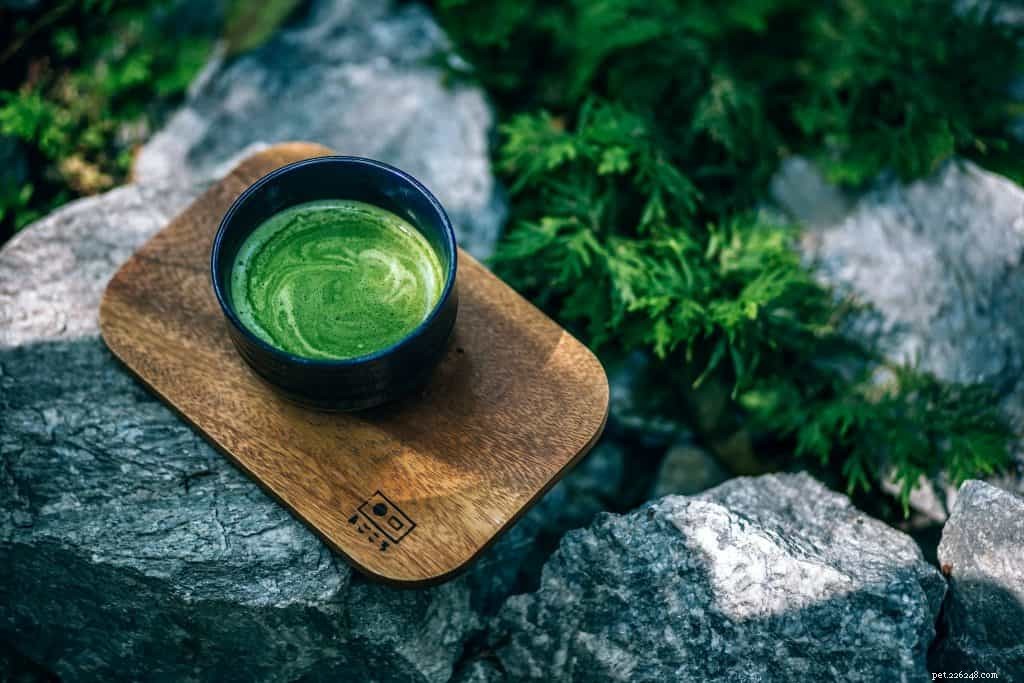 Top 5 Safe Herbs to Boost Your Dog and Cat’s Health