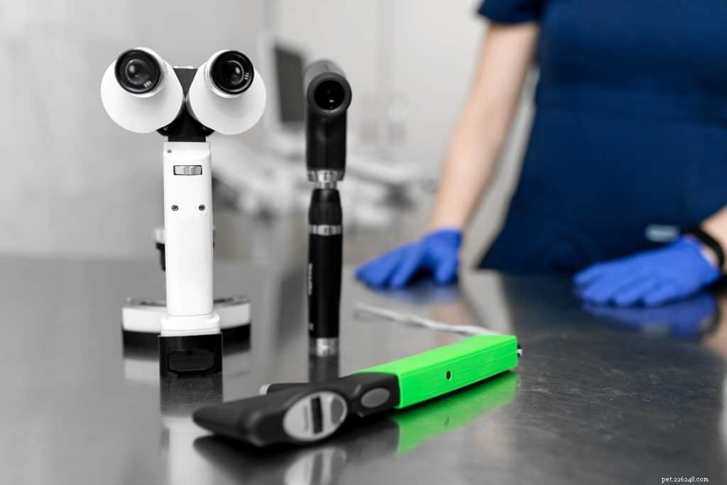 Understanding Canine Glaucoma: Causes, Symptoms, and Vet-Recommended Treatments