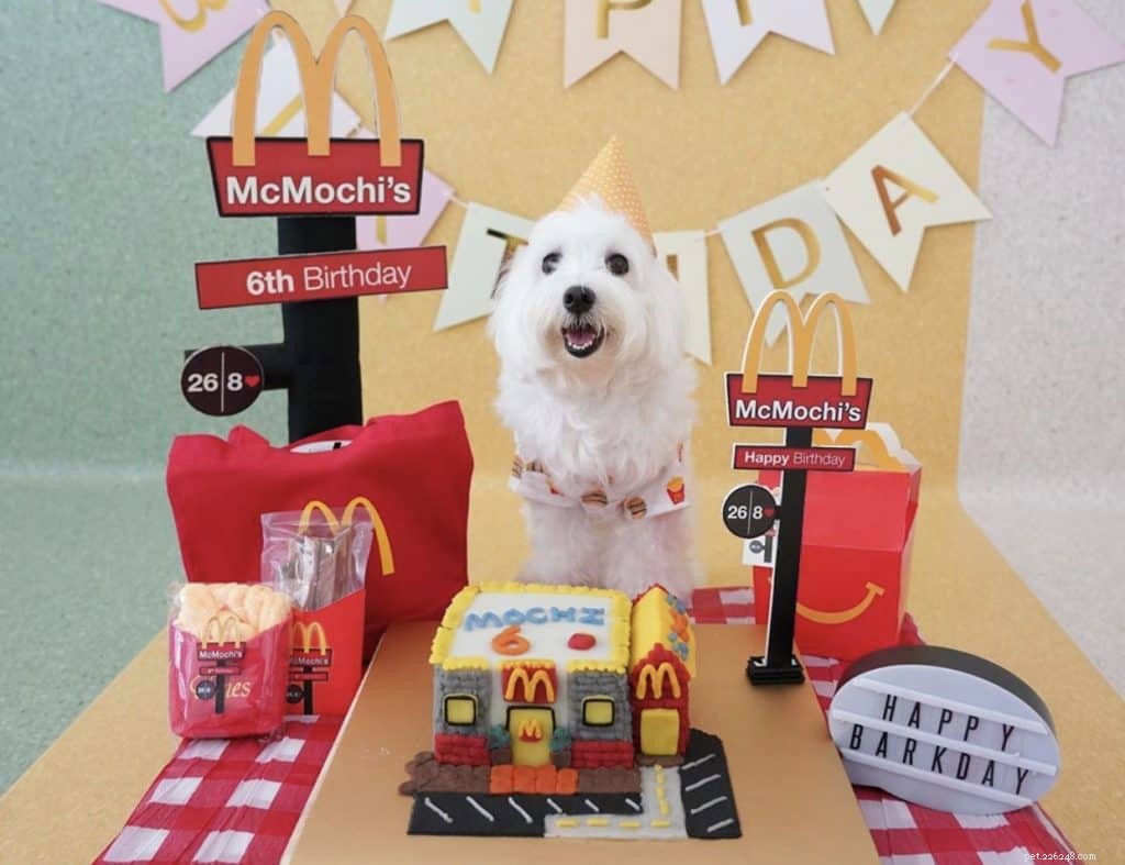Top 14 Dog Bakeries in Singapore Deliver Custom Birthday Cakes