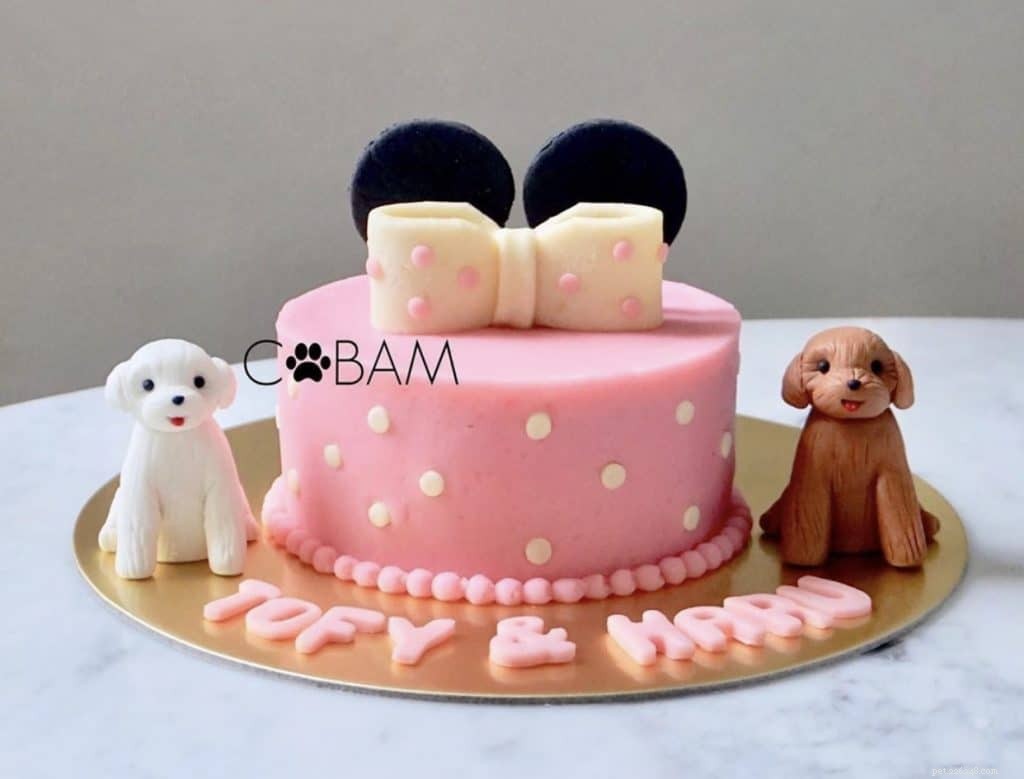 Top 14 Dog Bakeries in Singapore Deliver Custom Birthday Cakes