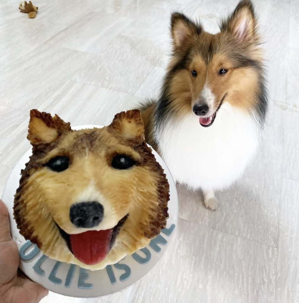 Top 14 Dog Bakeries in Singapore Deliver Custom Birthday Cakes