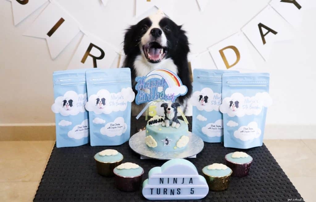 Top 14 Dog Bakeries in Singapore Deliver Custom Birthday Cakes