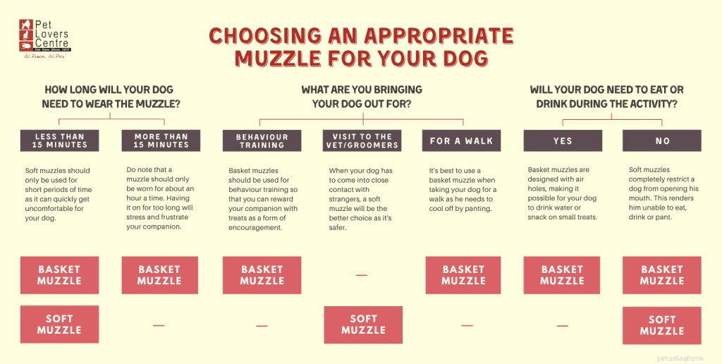 The Complete Guide to Dog Muzzles: Types, Uses, and Choosing the Right One