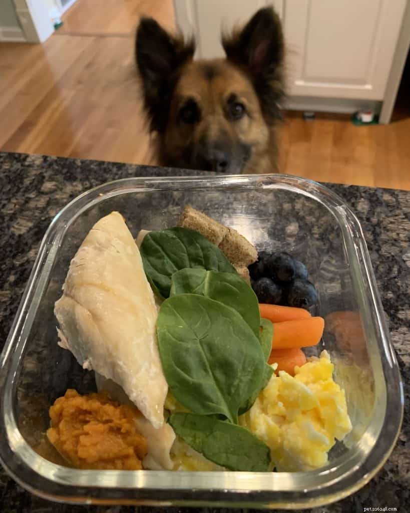 Expert‑Approved Chicken Dog Food & Treat Recipes – 7 Healthy Homemade Options